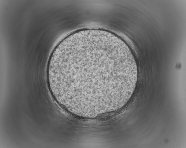 X0000095521191200801111429