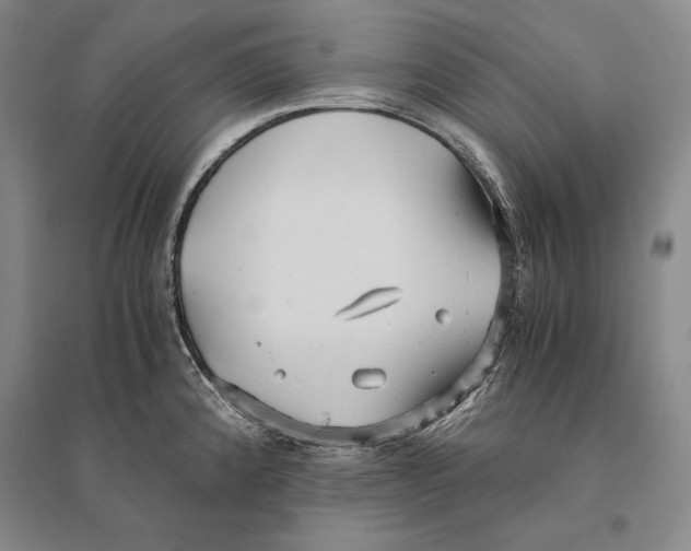 X0000095521192200801111429