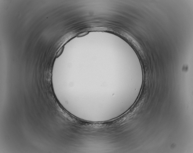 X0000095521193200801111429