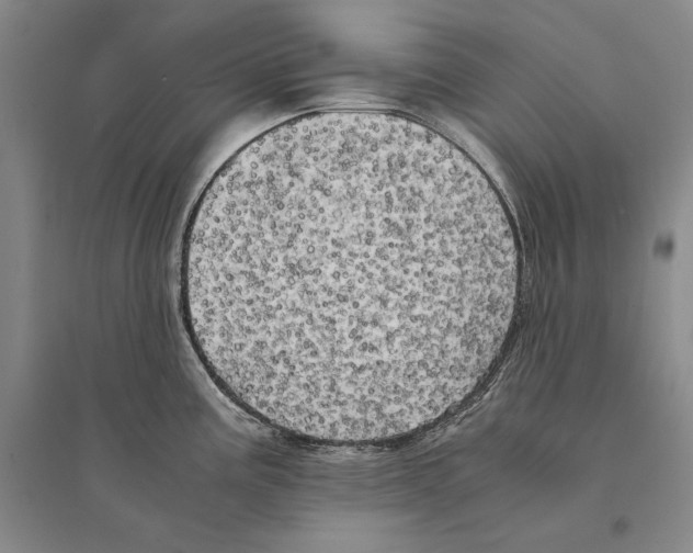 X0000095521195200801111429