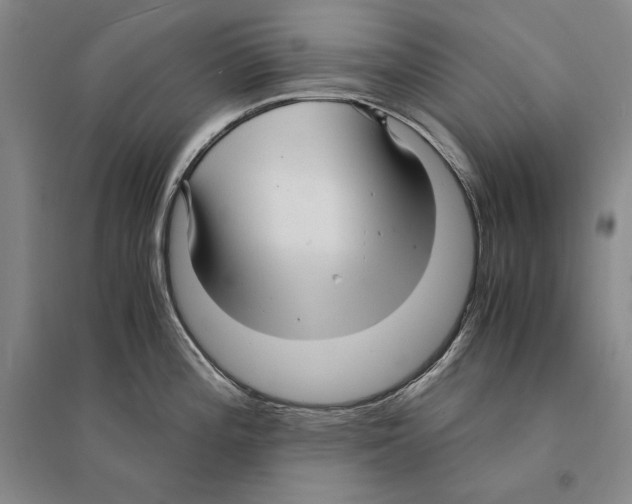 X0000095521196200801111429