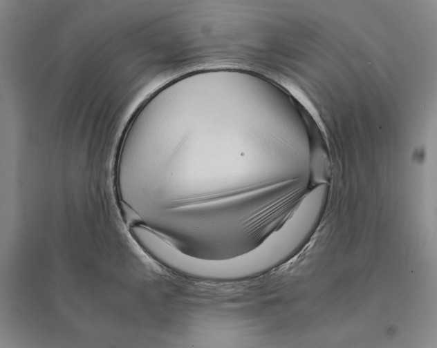 X0000095521197200801111429