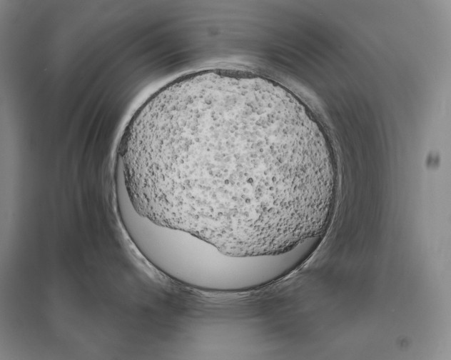 X0000095521200200801111429