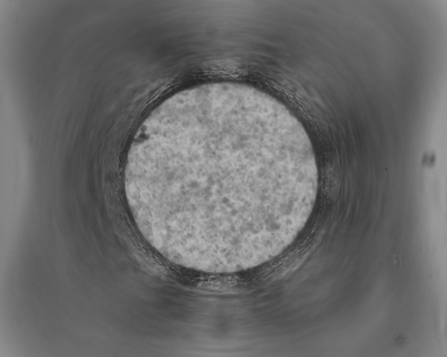 X0000095521201200801111428