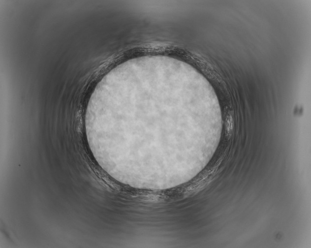 X0000095521204200801111428