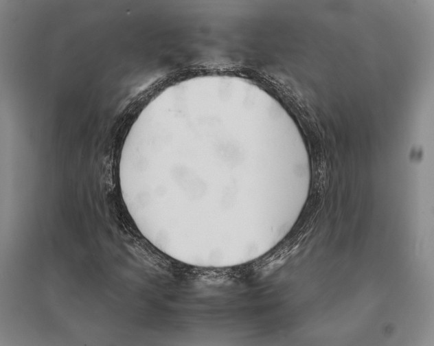 X0000095521205200801111428