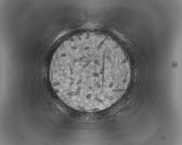 X0000095521206200801111428