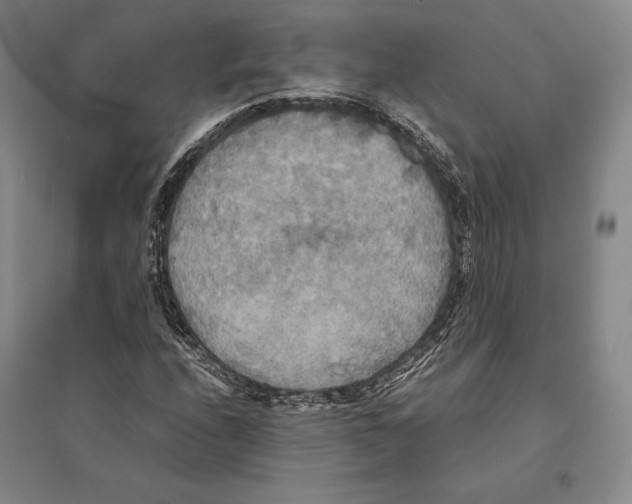 X0000095521208200801111428