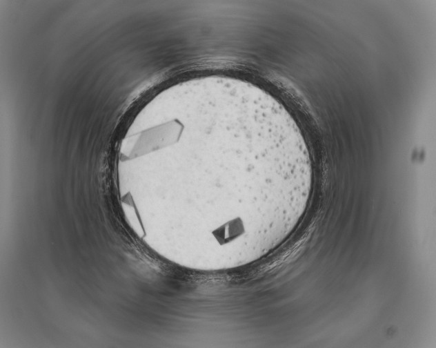 X0000095521210200801111428