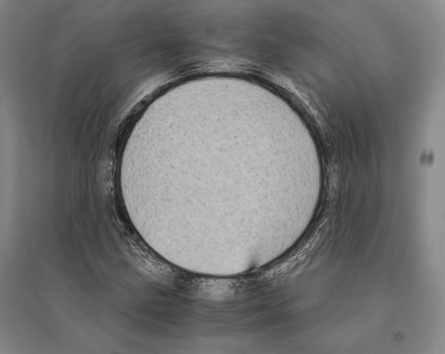 X0000095521211200801111428