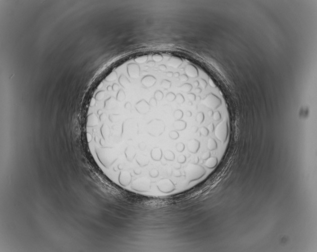 X0000095521212200801111428