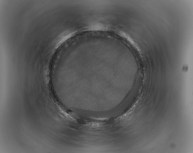 X0000095521213200801111428