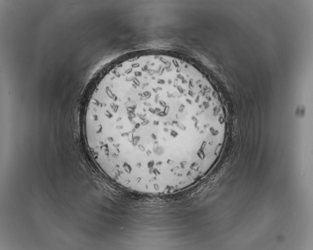 X0000095521214200801111428