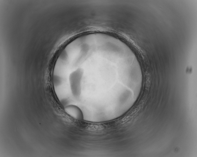 X0000095521215200801111428