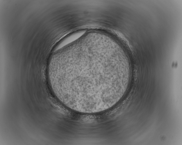 X0000095521217200801111428