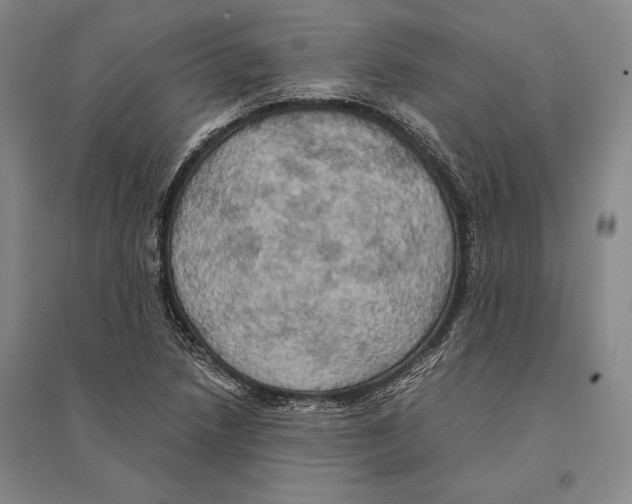 X0000095521218200801111428