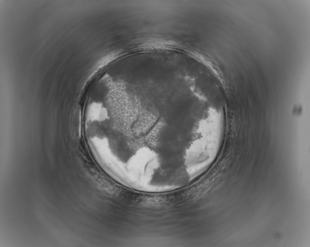 X0000095521219200801111428