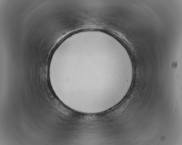 X0000095521220200801111428