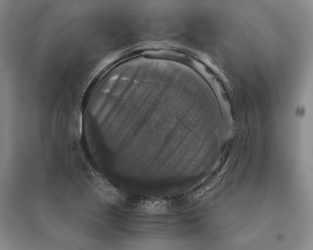 X0000095521221200801111428