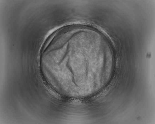 X0000095521222200801111428