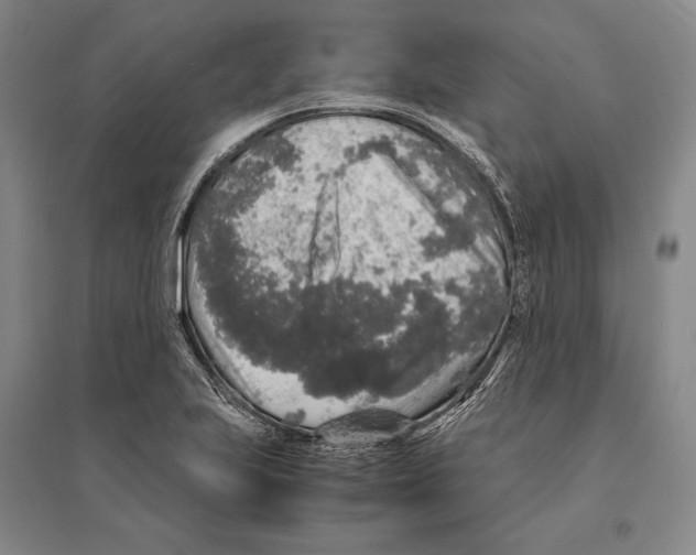 X0000095521223200801111428