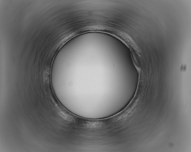 X0000095521225200801111428