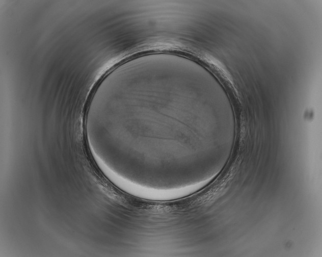 X0000095521226200801111428