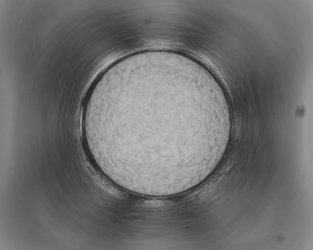 X0000095521227200801111428