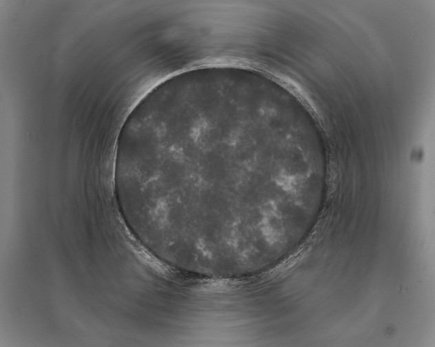 X0000095521228200801111428