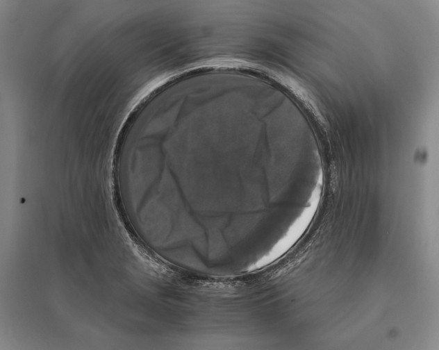 X0000095521229200801111428