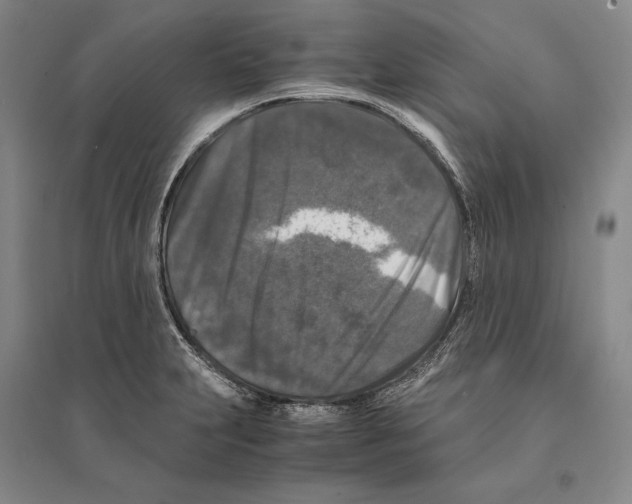 X0000095521231200801111428