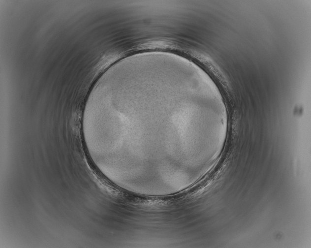 X0000095521233200801111428