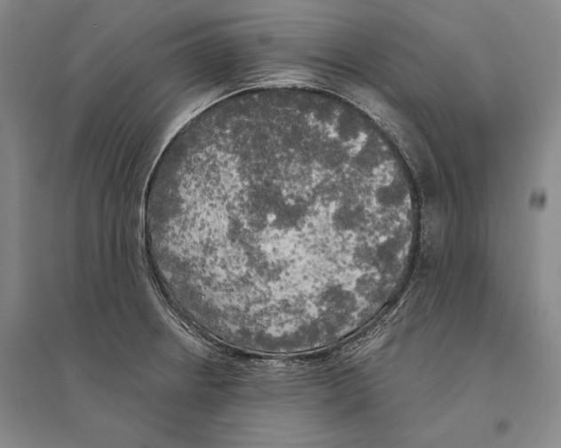 X0000095521234200801111428