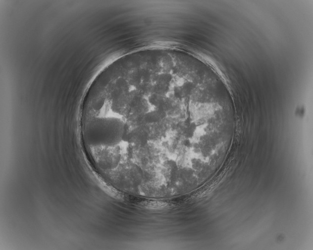 X0000095521235200801111428