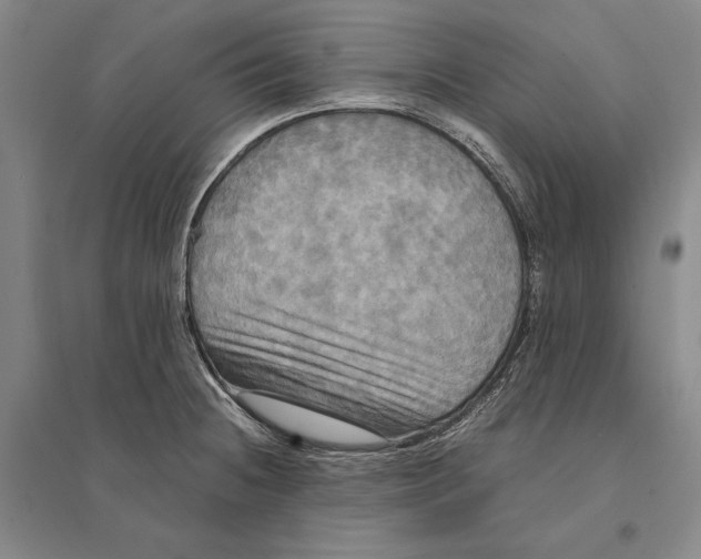 X0000095521236200801111428