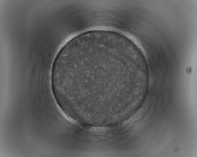 X0000095521237200801111429