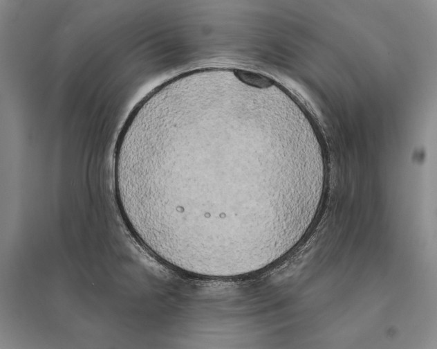 X0000095521238200801111429