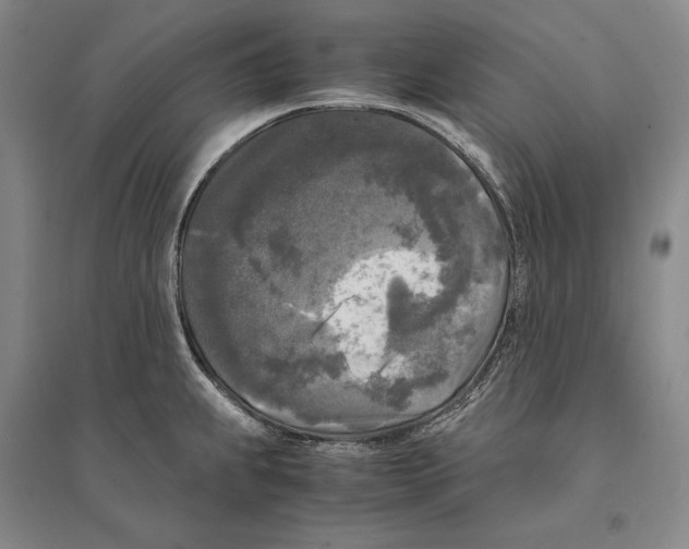 X0000095521239200801111429