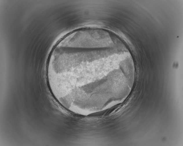 X0000095521240200801111429