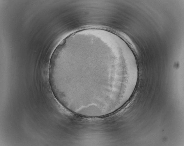 X0000095521244200801111429