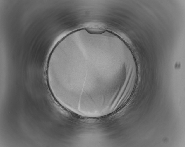 X0000095521248200801111429