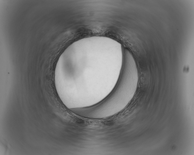 X0000095521249200801111428