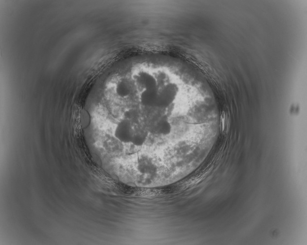 X0000095521251200801111428