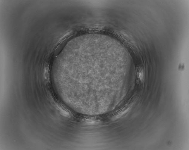 X0000095521252200801111428