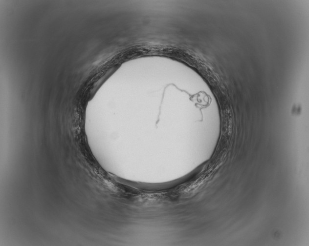 X0000095521253200801111428