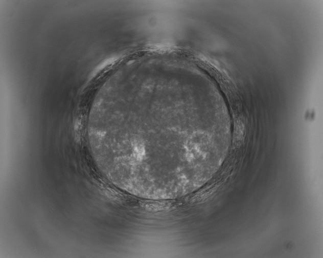 X0000095521254200801111428