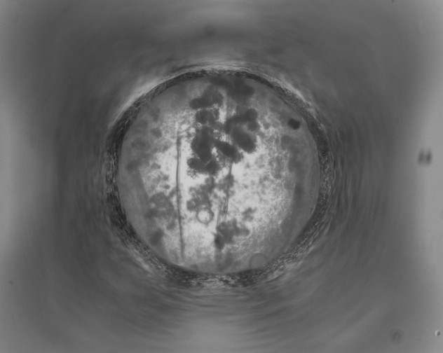 X0000095521255200801111428