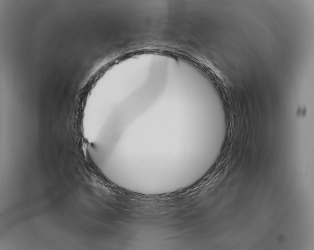 X0000095521256200801111428