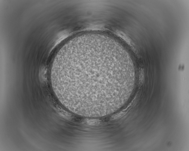 X0000095521258200801111428