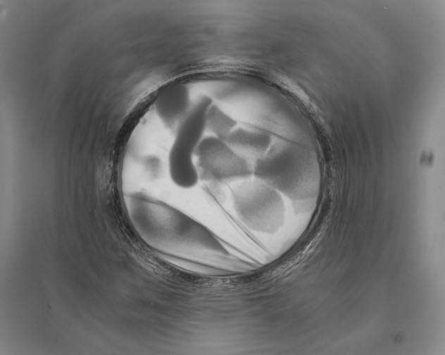 X0000095521259200801111428